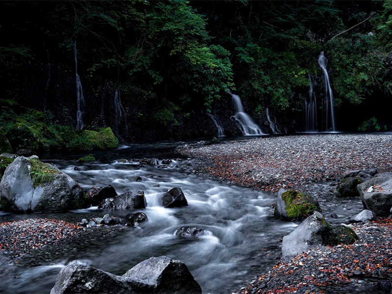 水質(zhì)生物毒性檢測儀作用