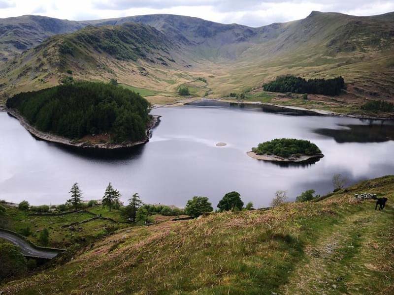 污水處理的基本原則（污水處理分級與核心指標）