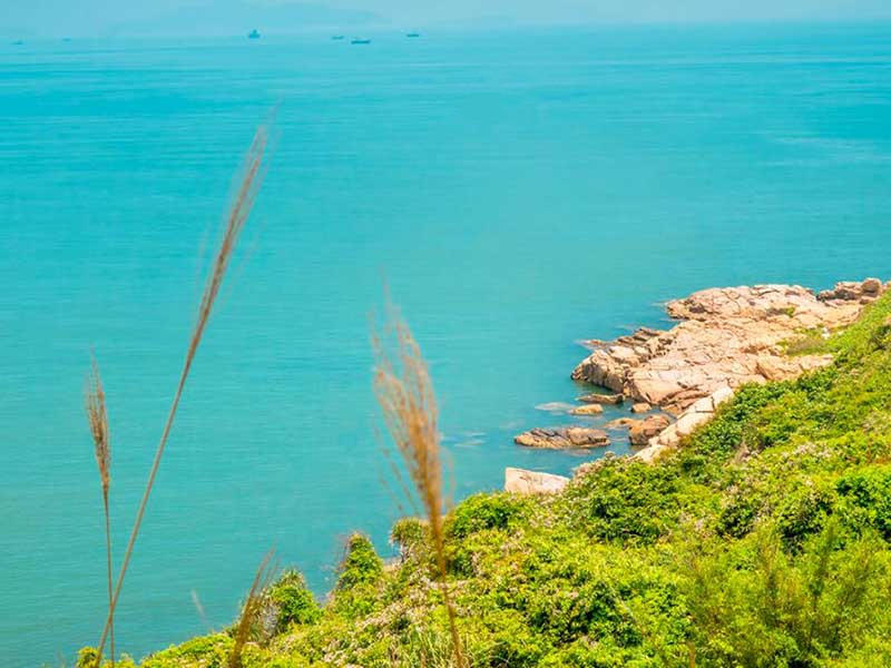 水質總磷檢測儀原理(水質總磷檢測儀使用教程)